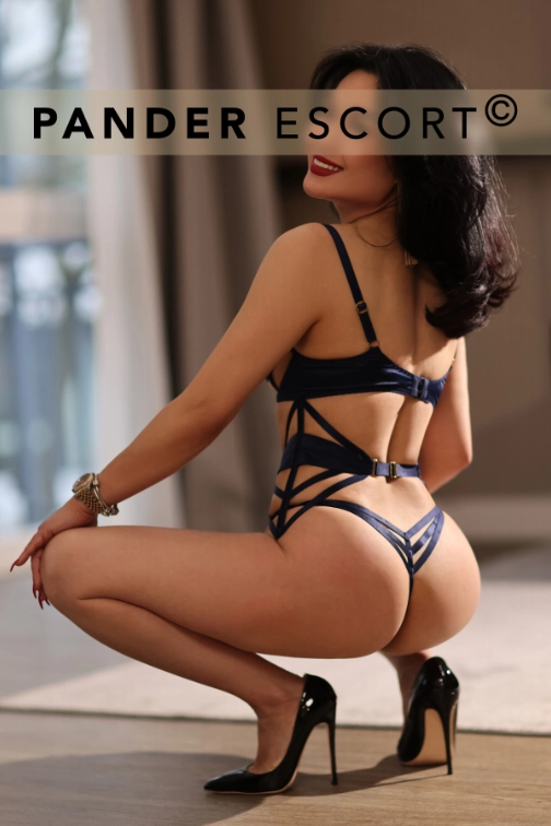 Pander Beitragsbild VI