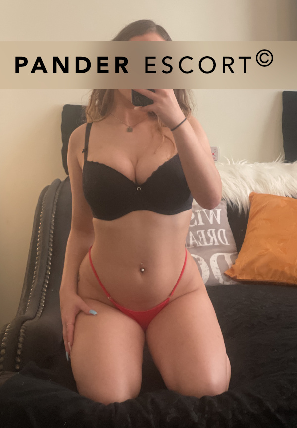 Pander Escort Berlin